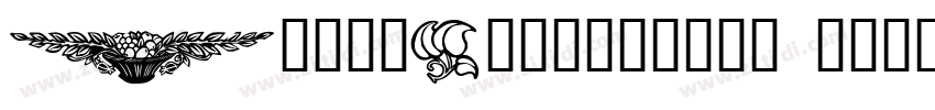 GeelyDesignType R字体转换
